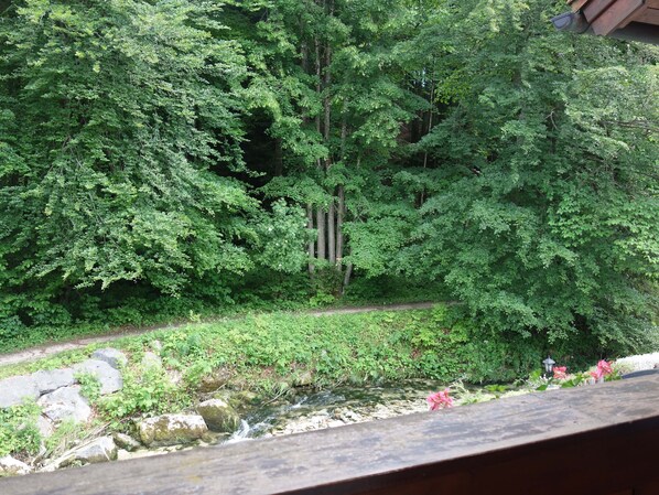 Property grounds - Apartment 2 quiet vacation apartment for 2 people with forest view (Bayerisch Gmain)