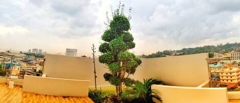 Um terraço no telhado com uma árvore central, duas poltronas brancas e vista para o horizonte urbano.