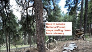 A gate leading to steps in a forested area.
