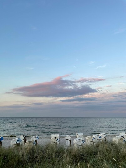 New Year's Eve with a pet? Quiet in "Dat lütte Huus"