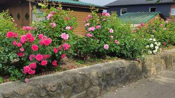 DĂ©tail de lâextĂ©rieur