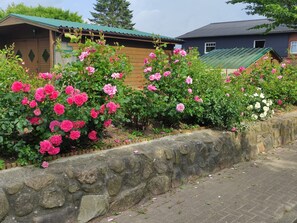 تفاصيل الفندق من الخارج