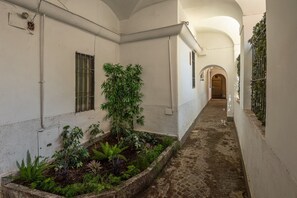 A narrow corridor with white walls, a brick floor, and a plant bed.