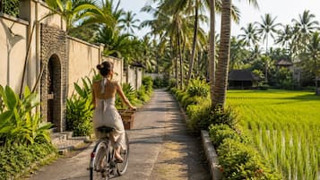 A pathway lined with palm trees and a bicycle with a basket, leading to a building with a stone facade.