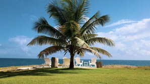 A palm tree in a grassy area with white chairs and a view of the ocean. - Casa Los Sue os in Punta Cana (Sosúa)