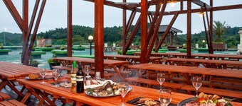 camel hotel resort