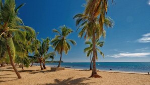 A beach with palm trees and a clear blue sky. - Orangea Beach Resort (Nosy Be)