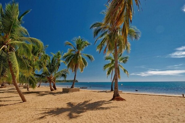 A beach with palm trees and a clear blue sky. - Orangea Beach Resort (Nosy Be)