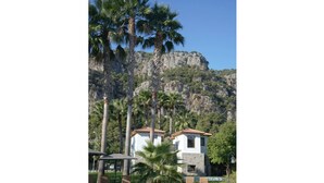 A building with a stone facade, a red-tiled roof, and a view of a rocky cliff. - Villa Merry - Dalyan Stonehouse with Palmtrees (Muğla)