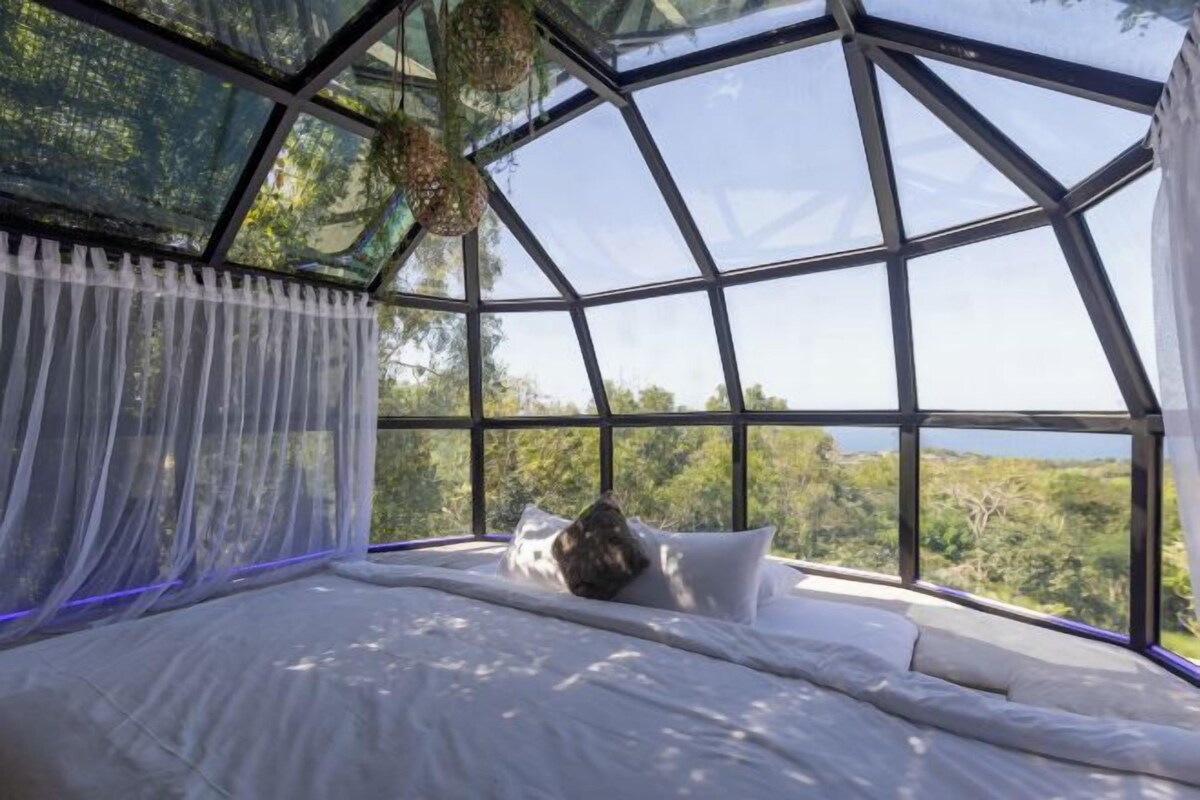 Un dormitorio con un ventanal grande, una cama con almohadas y una planta colgante.