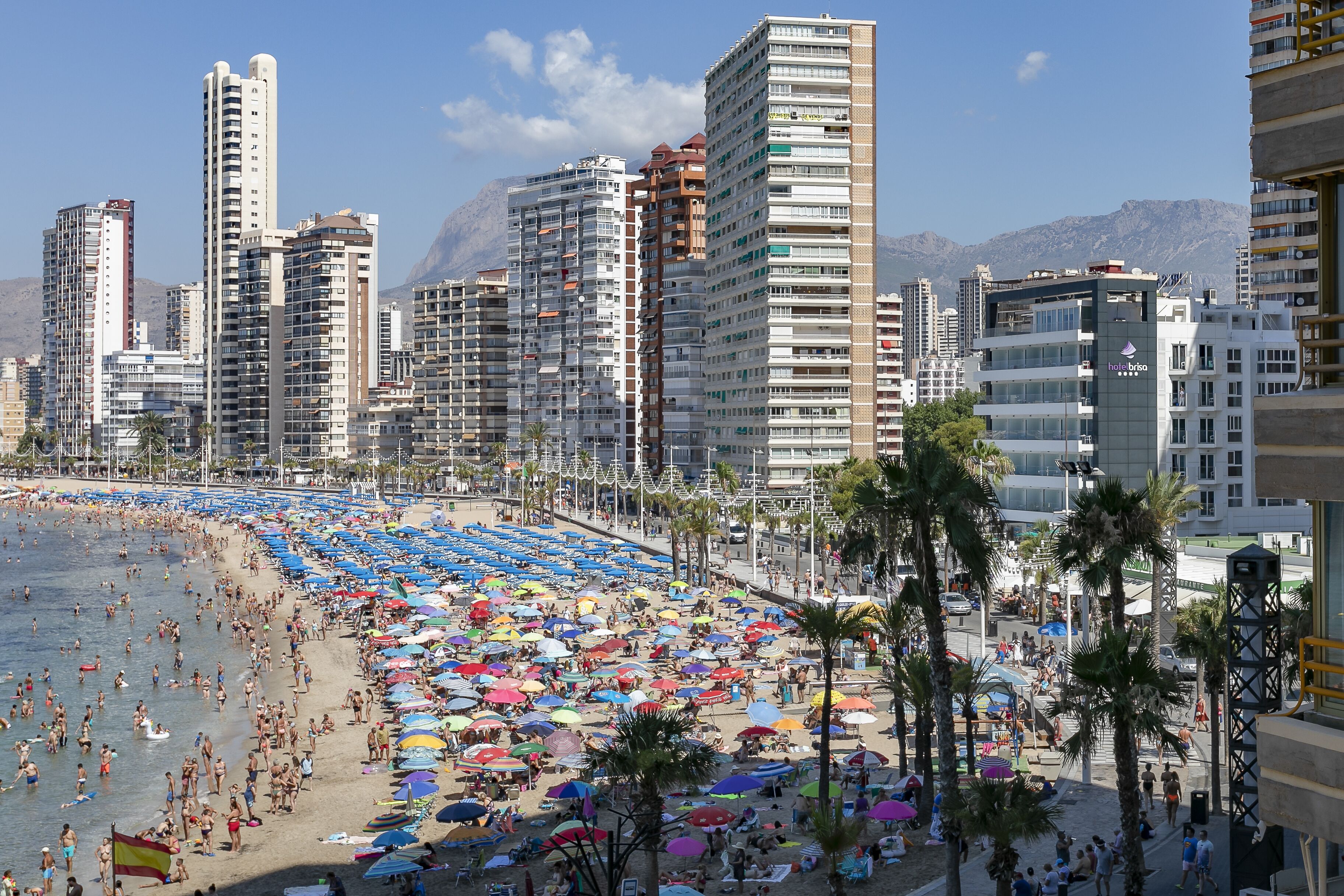 A beach with numerous umbrellas and people.
