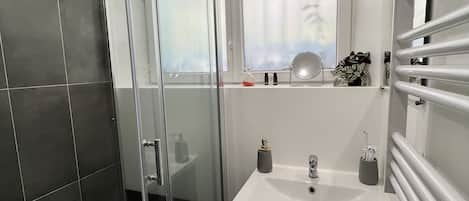 Shower, hair dryer, towels, soap