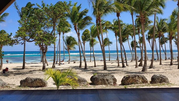 Una playa con palmeras y vista al océano.