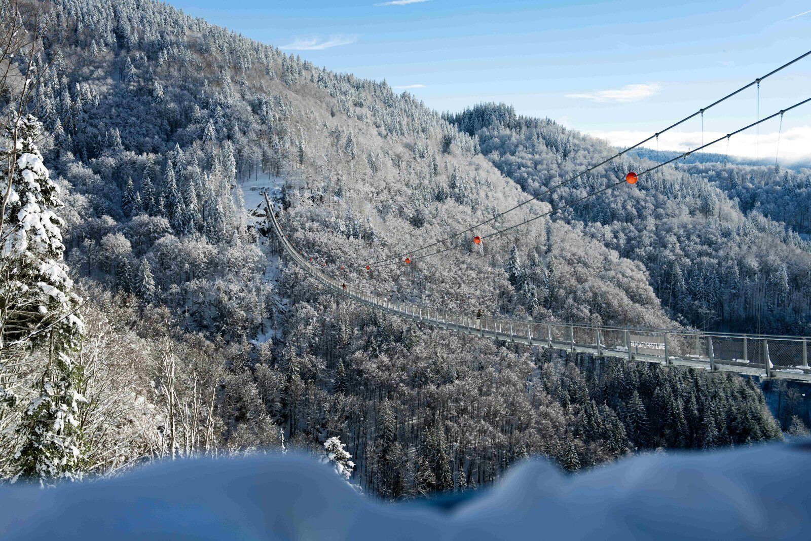 A cable car system in a snowy forest.