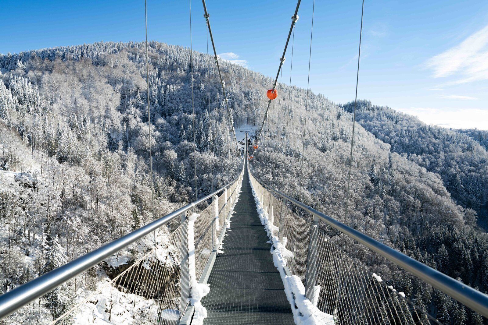 Un ponte sospeso con ringhiere metalliche e passerella protetta da reti, immerso tra alberi e colline innevate.