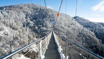 Un ponte sospeso con ringhiere metalliche e passerella protetta da reti, immerso tra alberi e colline innevate.
