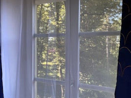 Janela com vista para uma área arborizada.