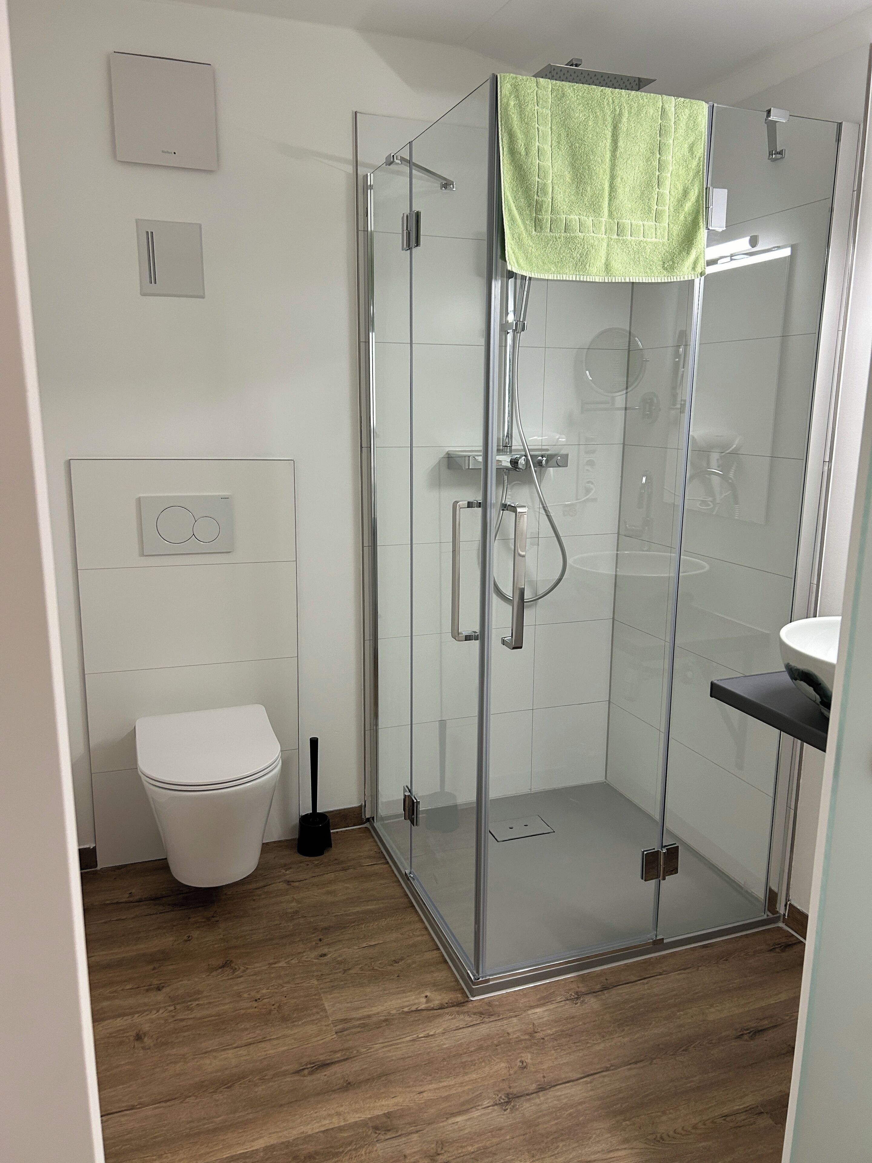 A modern bathroom with a glass shower enclosure, a toilet, and a sink.