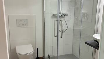 A modern bathroom with a glass shower enclosure, a toilet, and a sink.