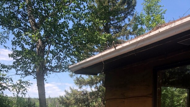Exterior - Watabeag Lake Lucky Bay (Unorganized West Timiskaming)