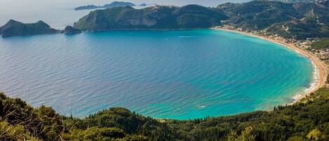 ビーチの近く、ビーチ シャトルサービス (無料)、5 か所のビーチバー