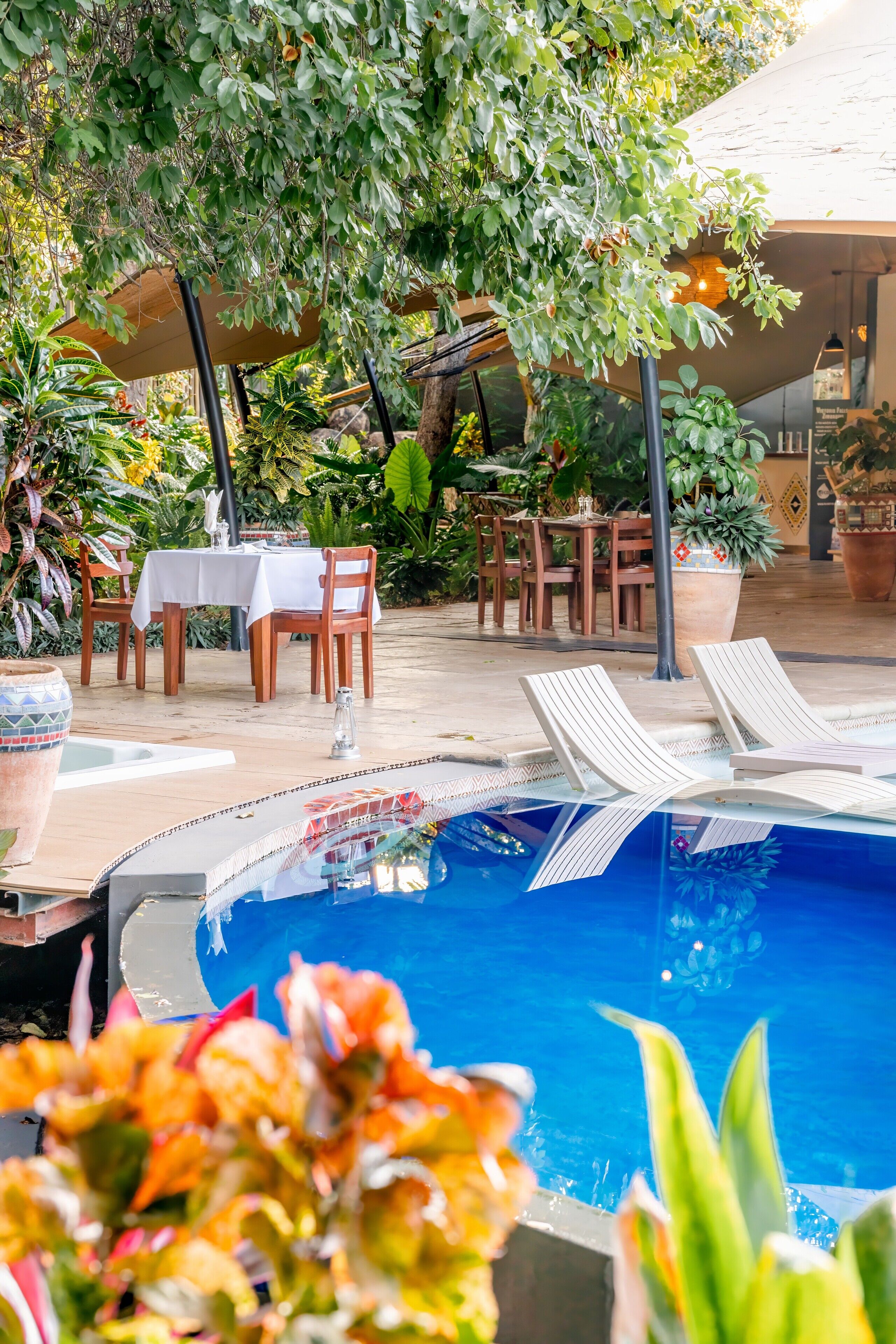 Piscine extérieure, parasols, chaises longues