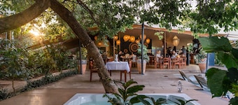 Shongwe Oasis