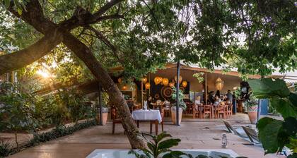 Shongwe Oasis
