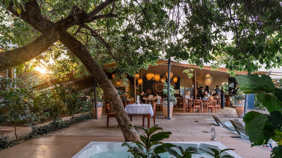 Shongwe Oasis