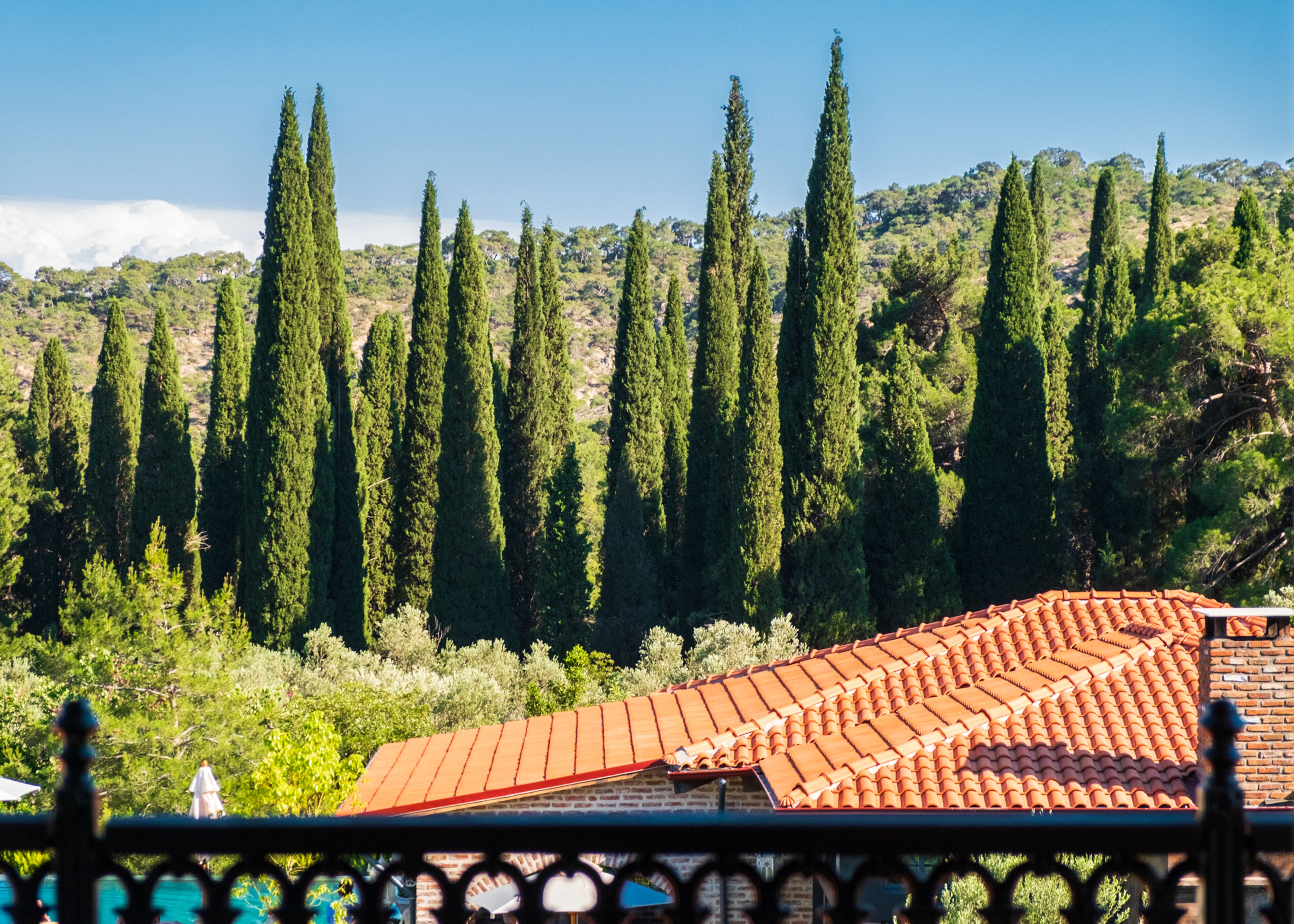 A view of a villa with a red-tiled roof, surrounded by tall cypress trees and a hilly landscape.