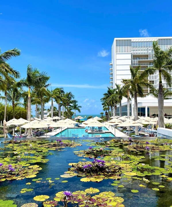 Alberca techada y alberca al aire libre