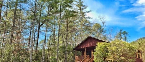 A rustic cabin with a wooden deck and stairs, surrounded by dense forest and tall trees.