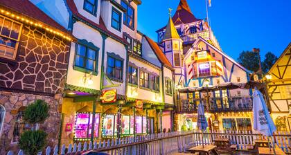 Chimney Mt 2 - 2BR Cabin, Dog Friendly w/ Hot Tub and Fireplace. Near Helen GA