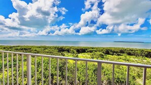 Un balcon offrant une vue sur un paysage tropical, comprenant une étendue d’eau et une végétation luxuriante.