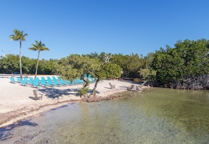 Relax on the beach with comfortable lounge chairs and stunning palm trees.