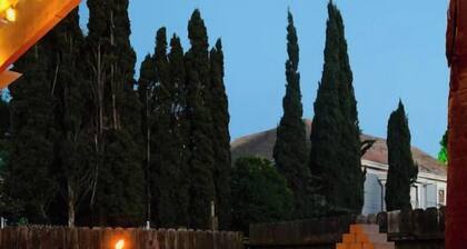 Home Getaway w/ Unique 🔥Fire Pit. Near Napa & SF