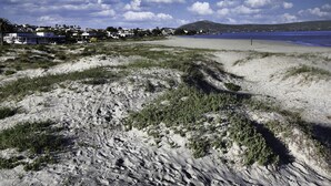 Una playa con cielo despejado, dunas de arena y una vista distante de casas y colinas.