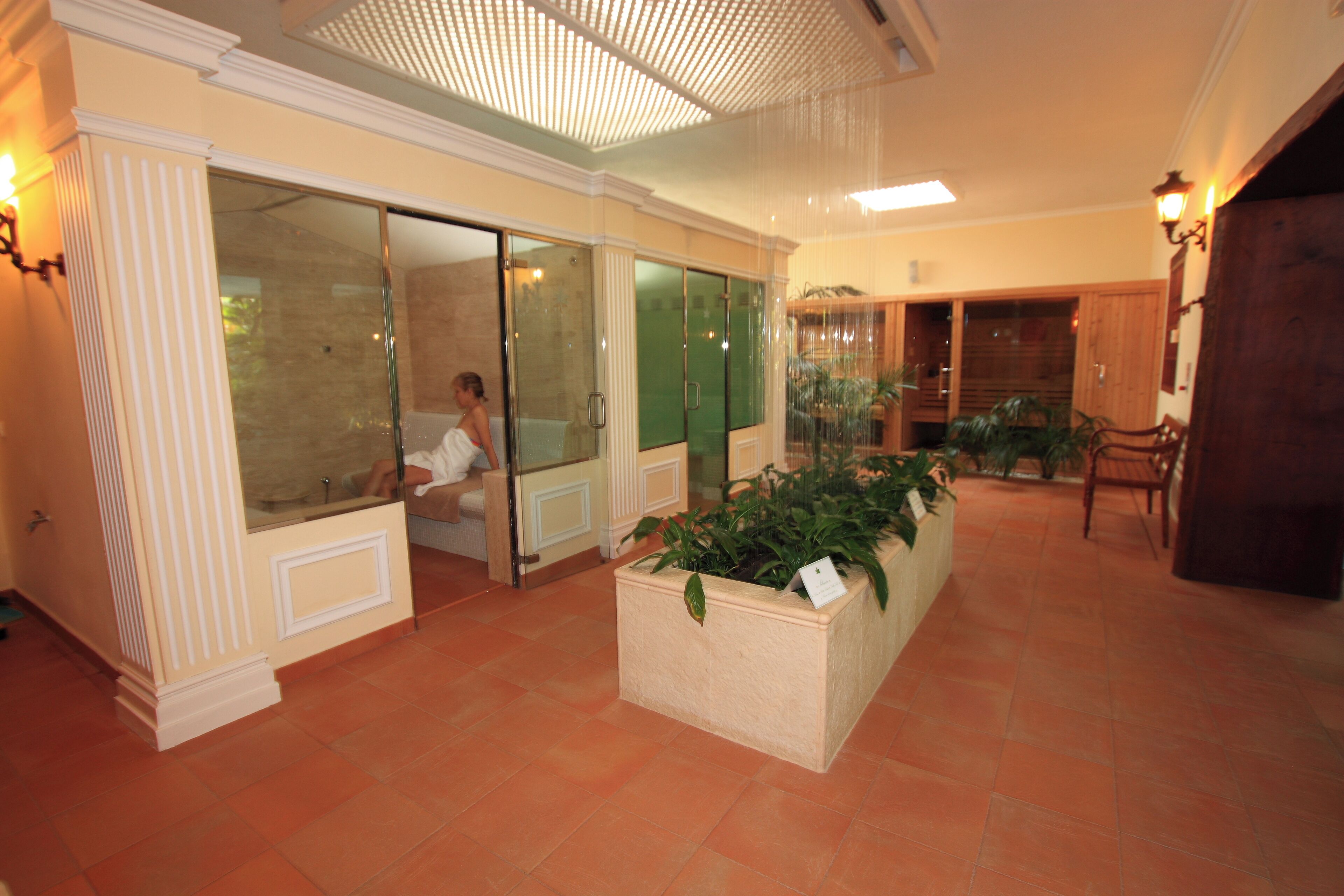 Sauna, steam room