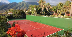 Tennis court
