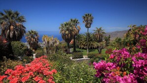 Exterior - La Palma Jardín Resort (El Paso)