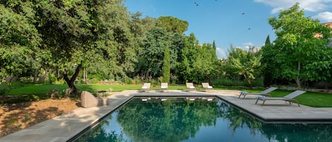 Outdoor pool, sun loungers