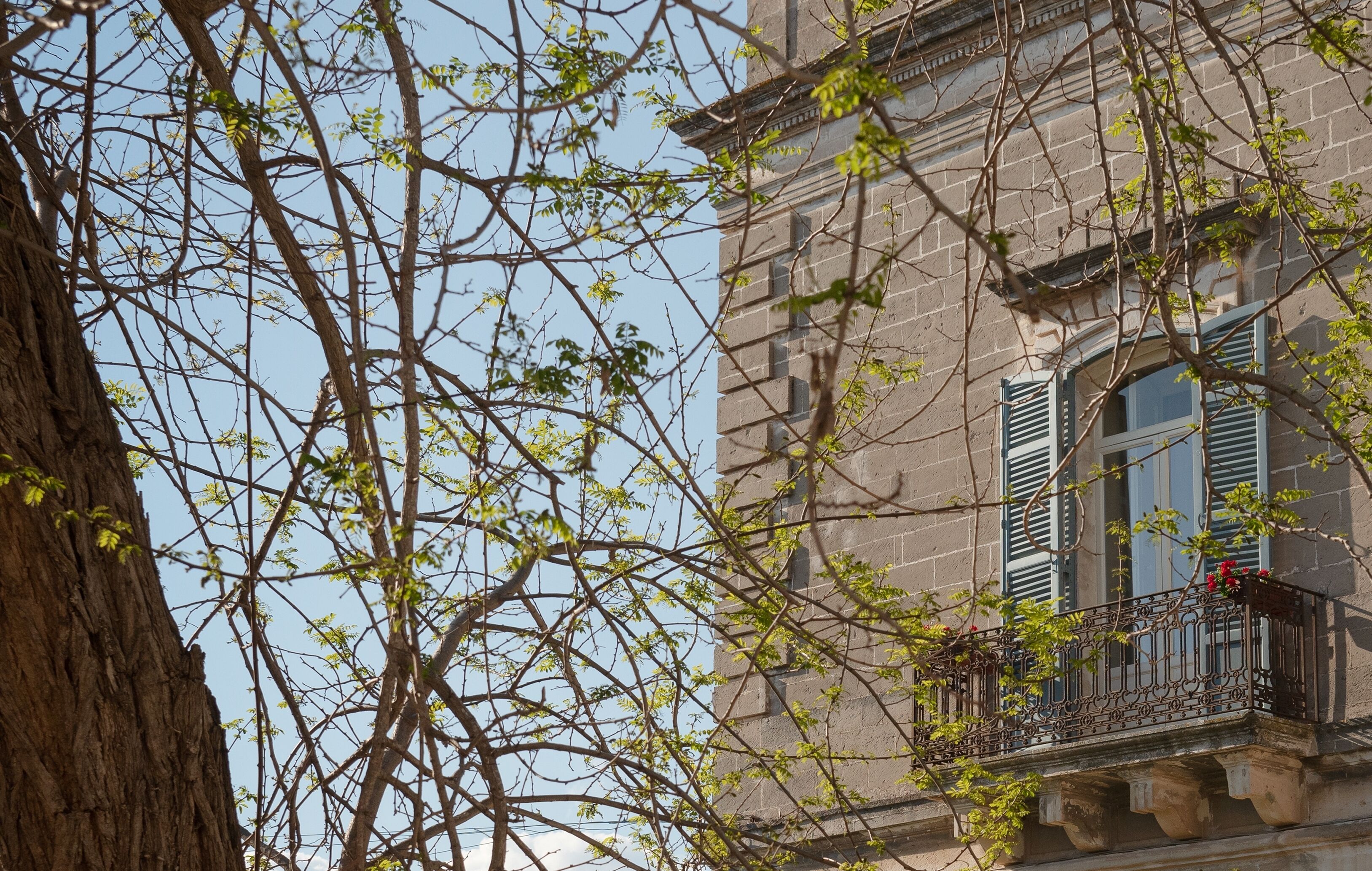 A building with a stone facade, a balcony with a wrought iron railing, and a tree with bare branches.