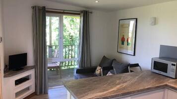 电视、DVD 播放器