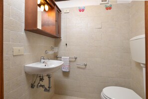 Family House, Multiple Bedrooms (Casa Le Meriche) | Bathroom | Shower, hair dryer, bidet, towels - Casa Le Meriche (Castiglione di Garfagnana)