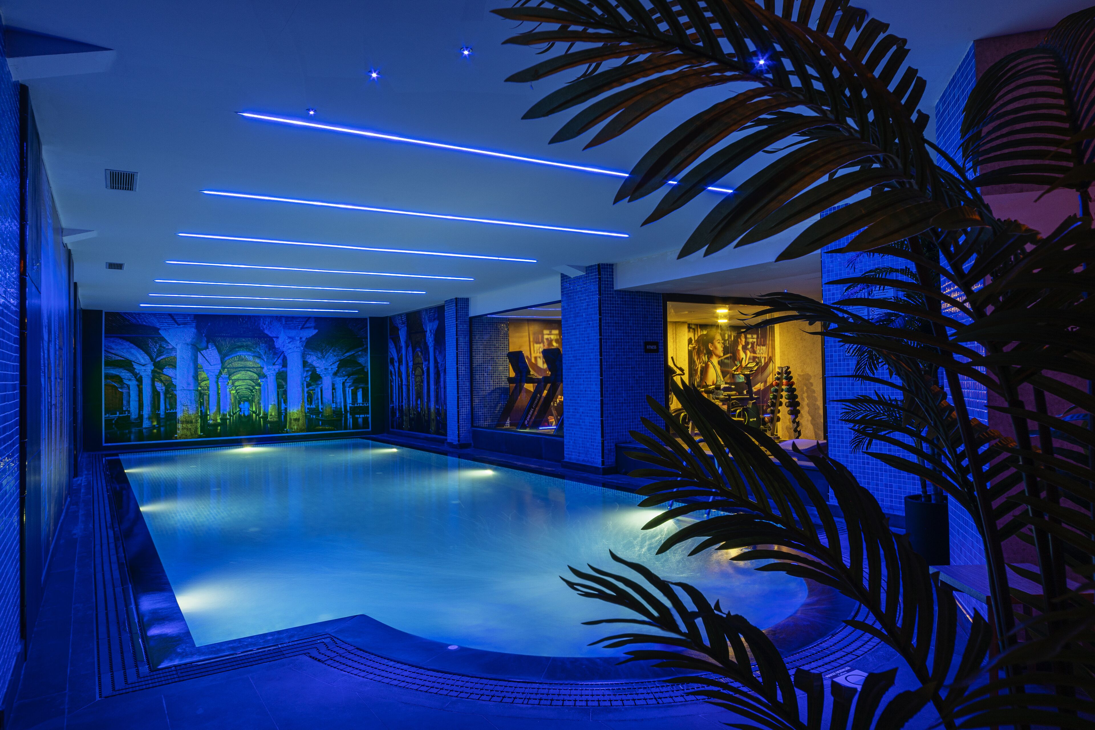 من حمّامات السباحة المغطاة، مقاعد للتشمس