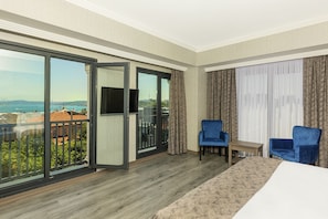 Panoramic Room | City view - Demiray Hotel & Spa (Istanbul)