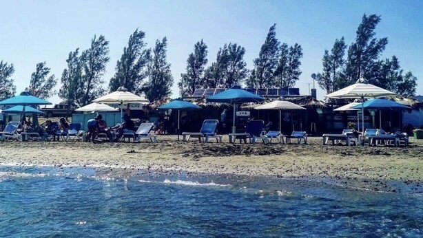 Una zona de playa con agua cristalina, sombrillas y sillas de descanso.