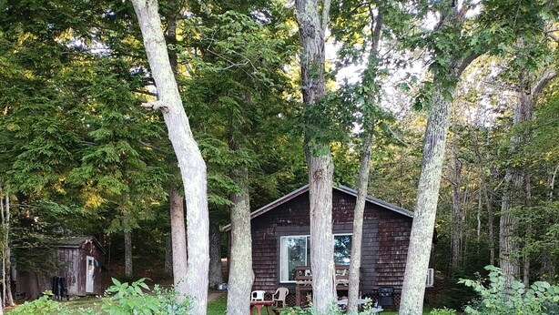 A wooden pathway leading to a rustic cabin surrounded by dense greenery. - Quaint Cottage on Swan Lake (Frankfort)