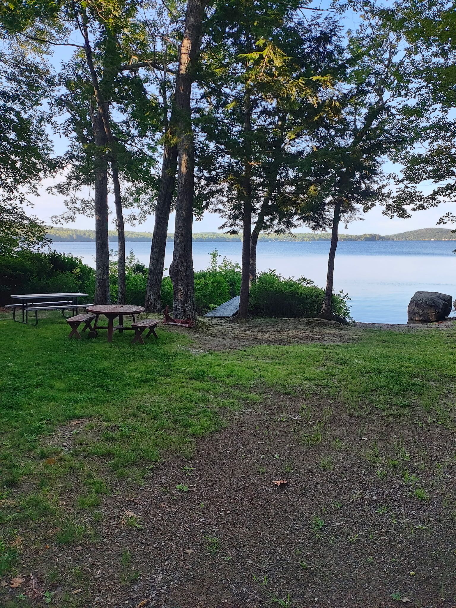 A picnic area with benches and a table, surrounded by trees and a view of a lake.