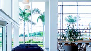Un vestíbulo moderno con zona de estar, una planta grande y una estantería.